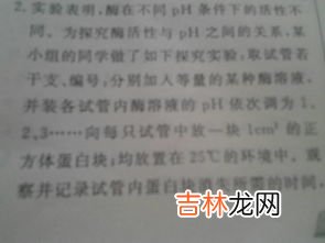 个人改进计划怎么写,员工个人改进计划怎么写