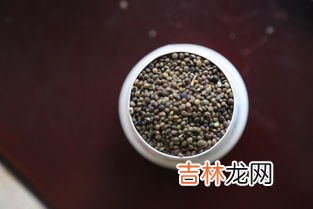 红花籽有什么功效,本草纲目中的红花籽的籽功能与花同的意思