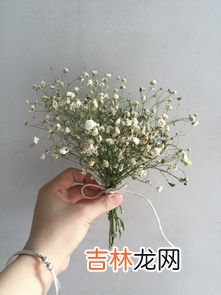 鲜花怎么做成干花,鲜花如何做成干花