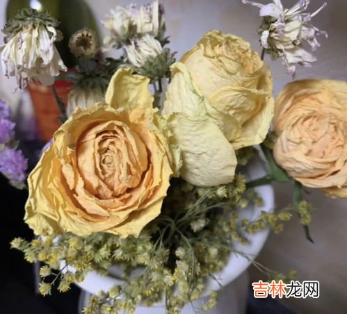鲜花怎么做成干花,鲜花如何做成干花