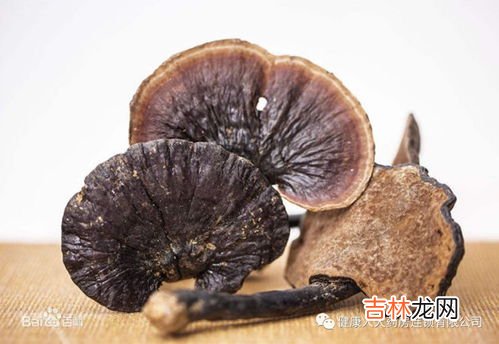 白灵芝有哪些功效和作用,白灵芝的功效与作用吃法
