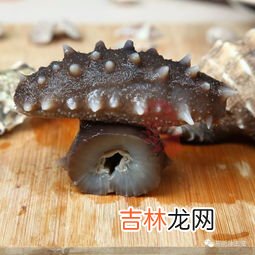 乌参和海参的区别,乌参和海参的区别