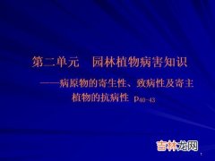 营养方式分为哪两种,营养教育方法可分为哪两类