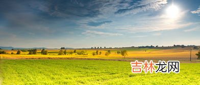 森林土壤肥力低于草原的原因,森林土壤和草原土壤哪个肥力更高? 好像是要分表层和下层来比的?
