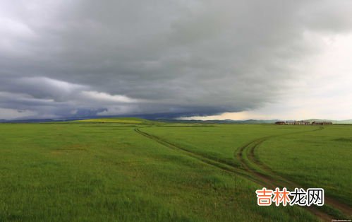 森林土壤肥力低于草原的原因,森林土壤和草原土壤哪个肥力更高? 好像是要分表层和下层来比的?