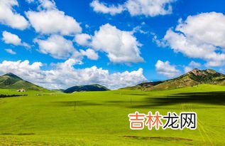森林土壤肥力低于草原的原因,森林土壤和草原土壤哪个肥力更高? 好像是要分表层和下层来比的?