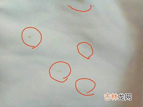 白衣服上的铁锈怎么去除,白色衣服染上铁锈了怎么能洗掉