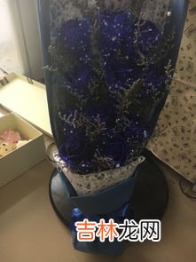 椰子怎么保存能放多久,椰子可以存放多久