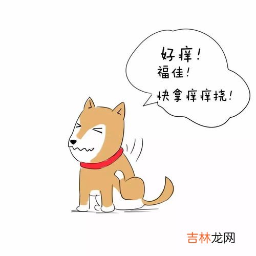 狗生产前的征兆是什么,狗狗生产前的征兆