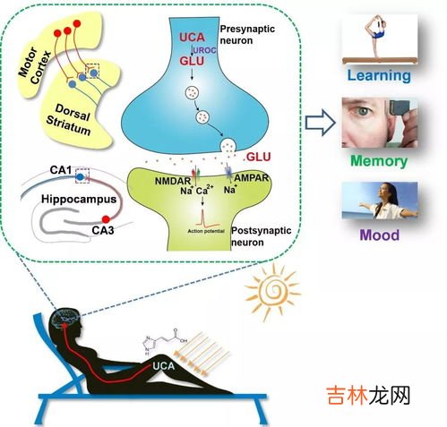 情绪记忆的例子,什么叫做情绪记忆