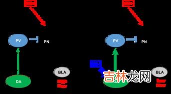 情绪记忆的例子,什么叫做情绪记忆