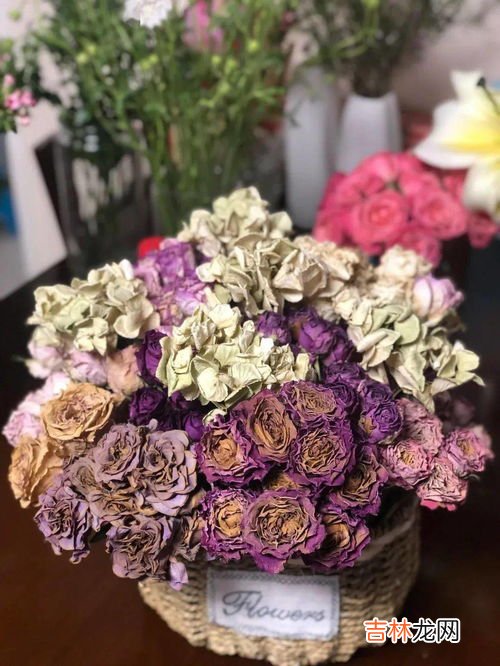 教你科学延长鲜花的保鲜期,鲜花如何延长保鲜期