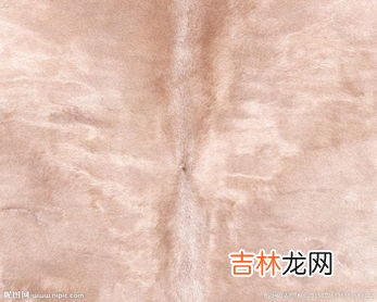 绵羊皮革算不算真皮,羊皮革是真皮吗?