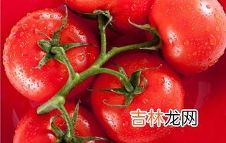 西红柿一般是冷藏还是常温保存,小番茄放冰箱还是常温