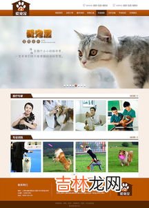爱乌及屋是什么意思,爱屋及乌是什么意思