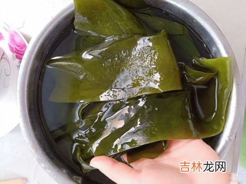 牛肉和海带能一起吃吗,牛肉和海带能一起吃吗