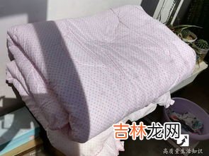 被子每天都拿出来晒好吗,被子经常晒好吗?