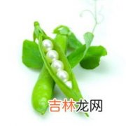 冻扁豆还能吃吗,扁豆速冻了可以吃吗