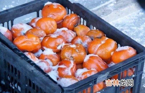 苹果怕冻吗,把苹果放在室外会不会冻坏