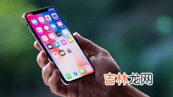 苹果怕冻吗,把苹果放在室外会不会冻坏