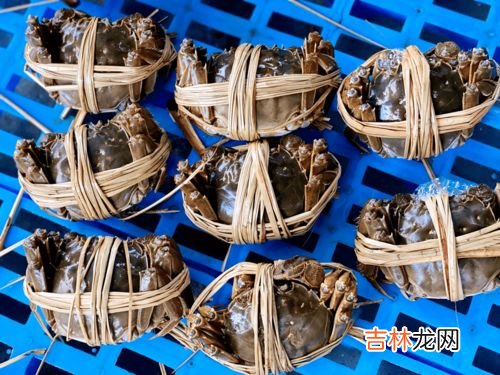 大闸蟹是淡水还是海水,大闸蟹是淡水还是海水