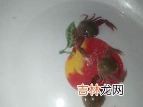 大闸蟹是淡水还是海水,大闸蟹是淡水还是海水