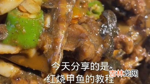 正宗红烧甲鱼的做法,红烧甲鱼最正宗的做法和简介
