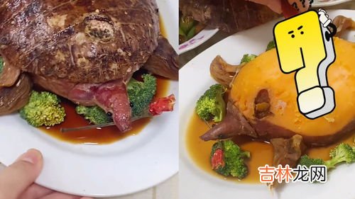 正宗红烧甲鱼的做法,红烧甲鱼最正宗的做法和简介