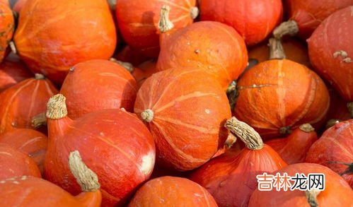 小南瓜怎么存储,南瓜怎么储藏如何保存南瓜