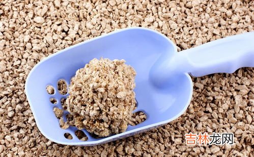 猫砂堵厕所了小妙招,猫砂堵住厕所如何疏通?