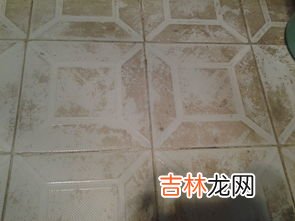 地板砖上的污渍怎么去除,地板砖上的顽固污渍怎么去除