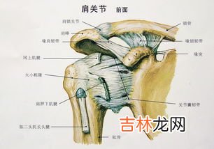 预防肩周炎的注意事项,预防肩周炎有哪些注意点