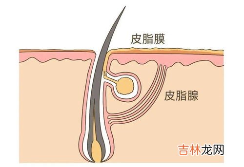 刮痧多久可以洗澡,刮痧后多久可以洗澡