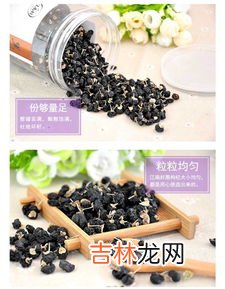 辣木黑杞是什么,黑枸杞的功效与作用