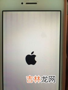 苹果手机一直显示1x信号,苹果手机的信号显示1x是什么意思？