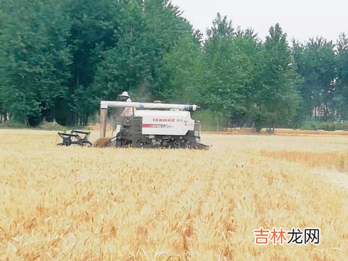 长熟是哪个省,江苏省常熟市是哪个市