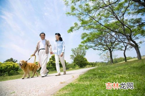 晚饭后立马去散步可以吗,饭后可以立刻去散步吗 饭后多久可以去散步