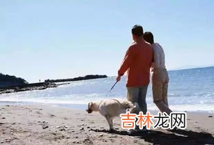 晚饭后立马去散步可以吗,饭后可以立刻去散步吗 饭后多久可以去散步
