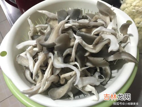 平菇冻了还能吃吗,鲜蘑冷冻后还可以吃吗