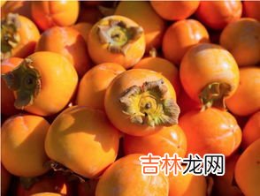 青柿子有毒吗,能吃吗,青柿子能吃吗