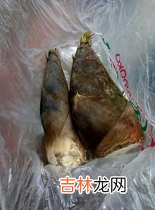 新鲜笋子怎样保存,竹笋怎么保存新鲜竹笋怎么保存
