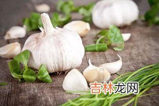 德国大蒜精儿童能吃吗,大蒜精的功效与副作用
