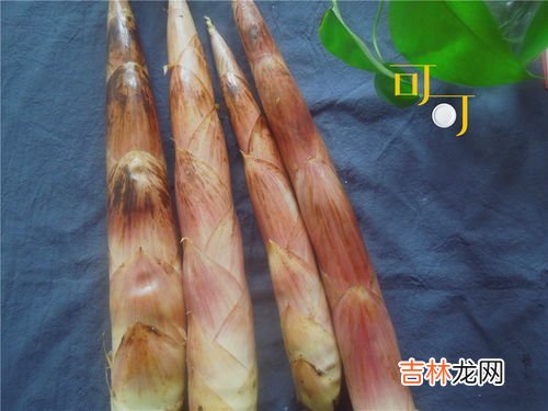 油焖雷笋的做法,油焖笋的正宗做法