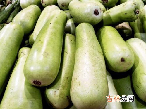 蒲瓜和瓠瓜的区别是什么,蒲瓜是不是就是葫芦瓜?