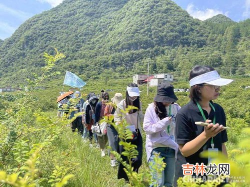 新鲜野刺梨怎么吃,新鲜刺梨怎么处理