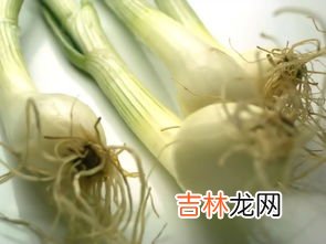 洋葱与圆葱的区别,圆葱与洋葱的区别
