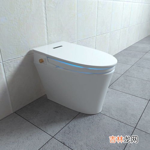 使用马桶时应注意的细节,家装卫生间装马桶时想又要干净又卫生，都有哪些技巧？