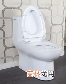 使用马桶时应注意的细节,家装卫生间装马桶时想又要干净又卫生，都有哪些技巧？