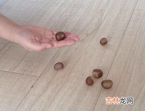 杏核能吃吗,吃完杏子，杏核能吃吗？有人说双仁的杏核有毒，是真的吗？