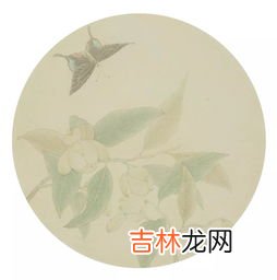 夜合花该如何种植,如何培育夜合花？